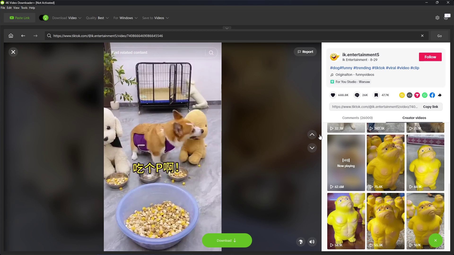 4K Video Downloader Plus