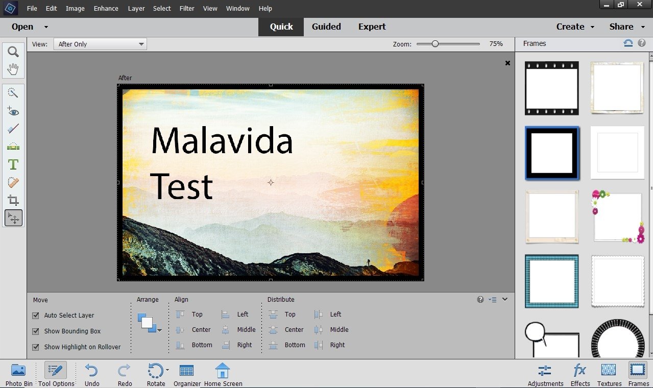 Adobe Photoshop Elements
