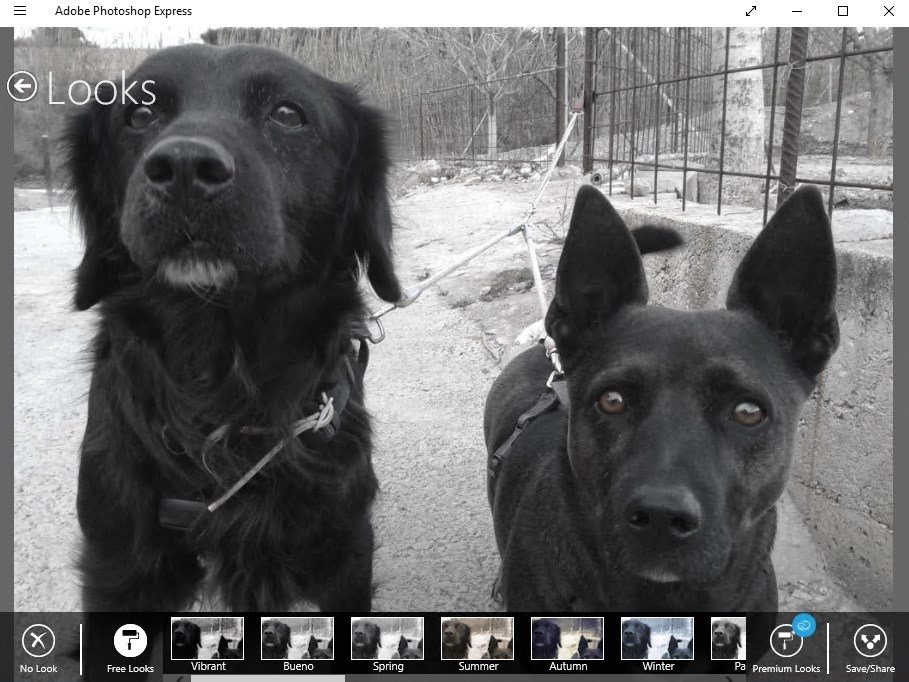 Adobe Photoshop Express