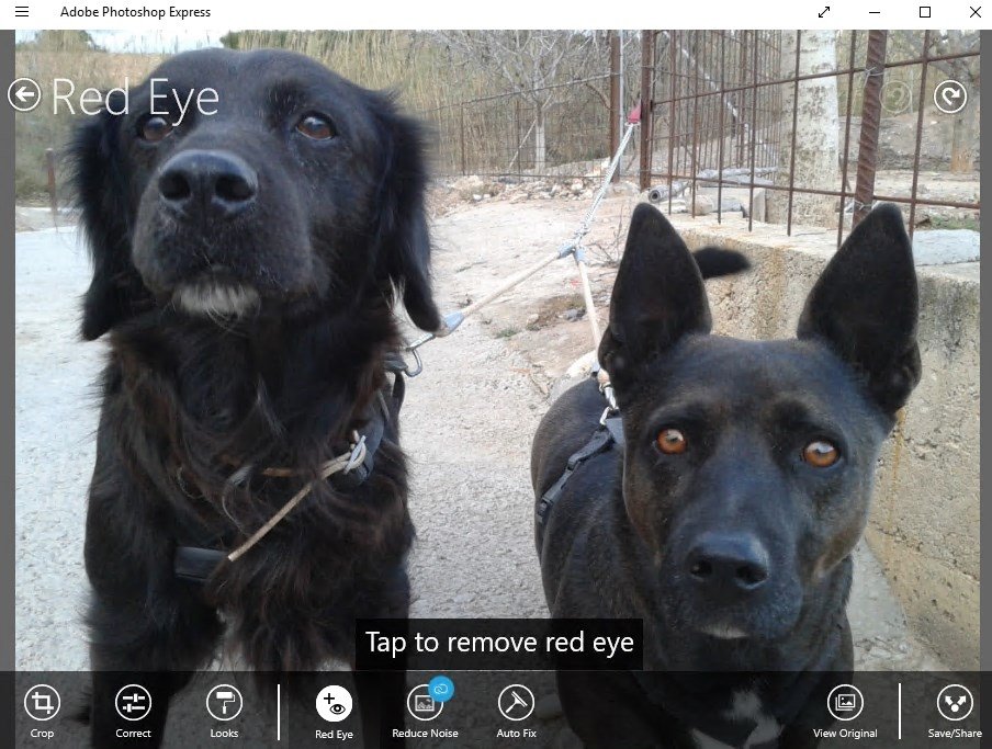Adobe Photoshop Express