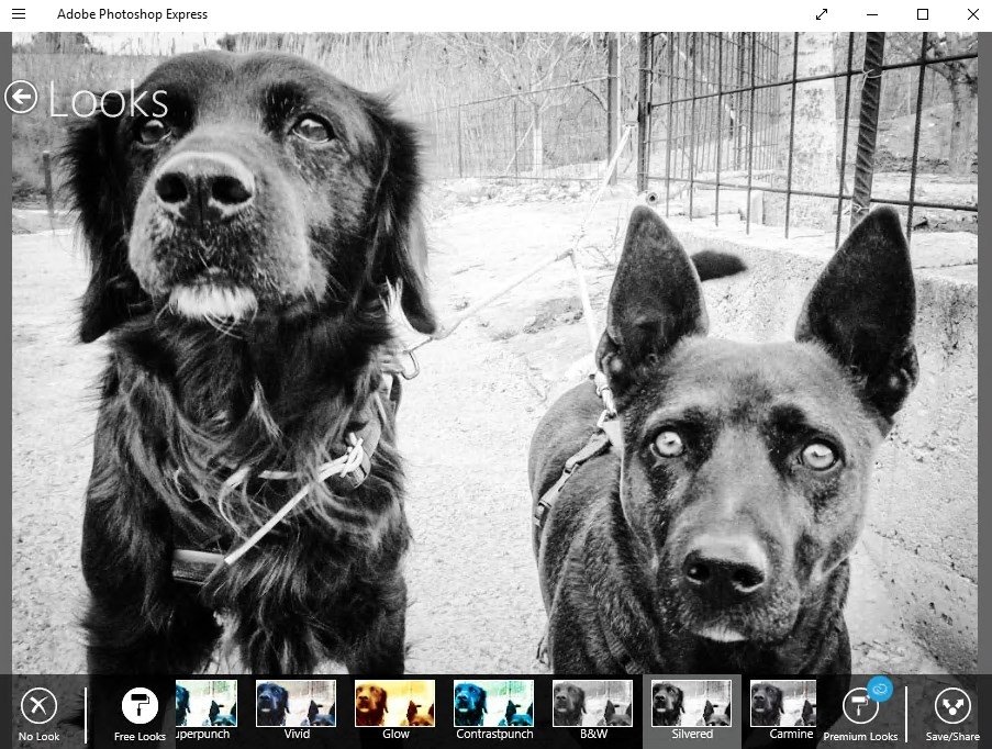 Adobe Photoshop Express