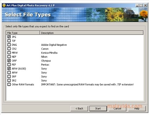 Art Plus Digital Photo Recovery