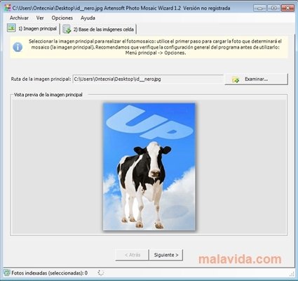 Artensoft Photo Mosaic Wizard
