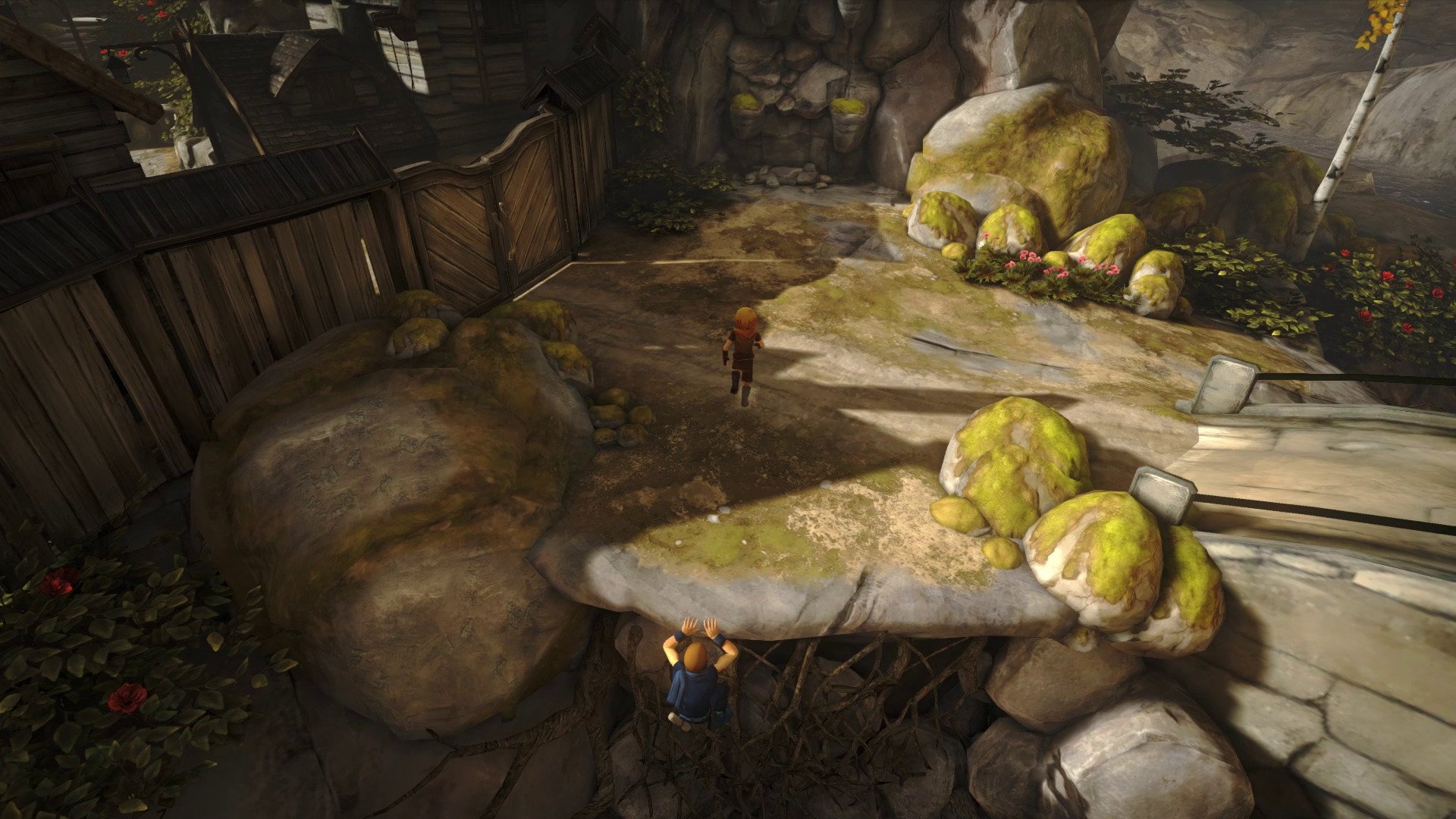 Brothers: A Tale of Two Sons