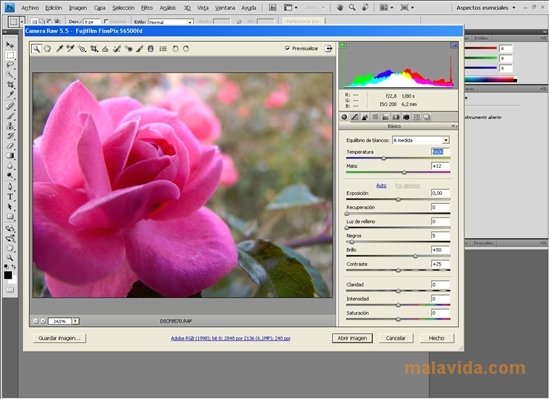 Camera Raw