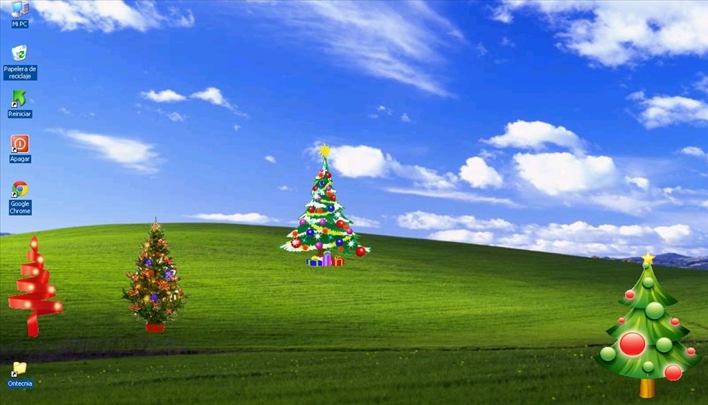 Christmas Tree Collection