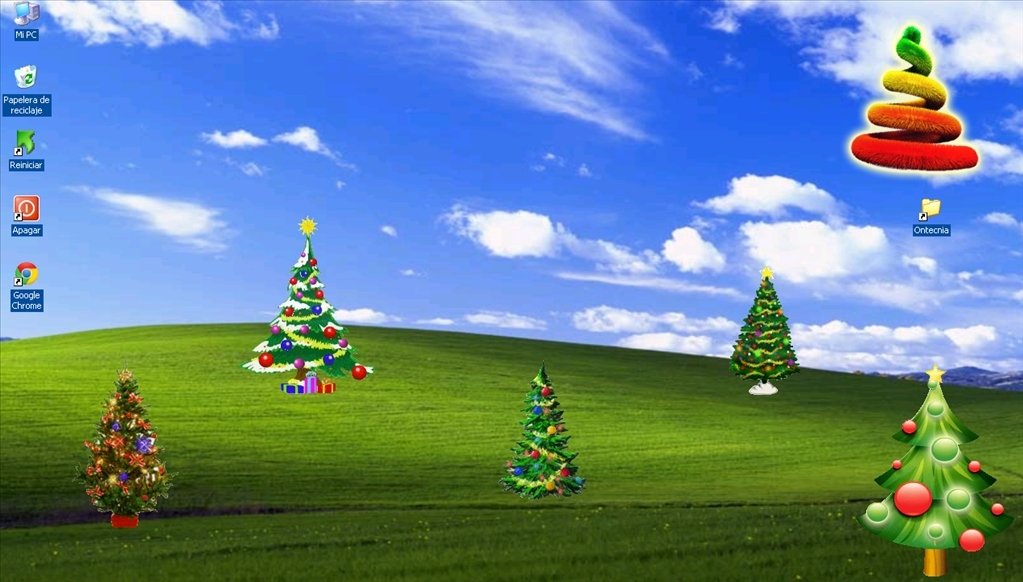 Christmas Tree Collection