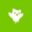 Duolingo