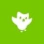 Duolingo