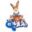 eMule