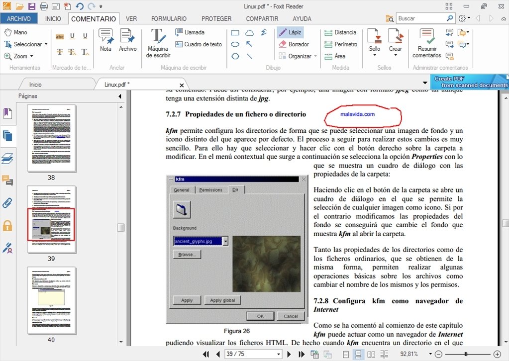 Foxit Reader