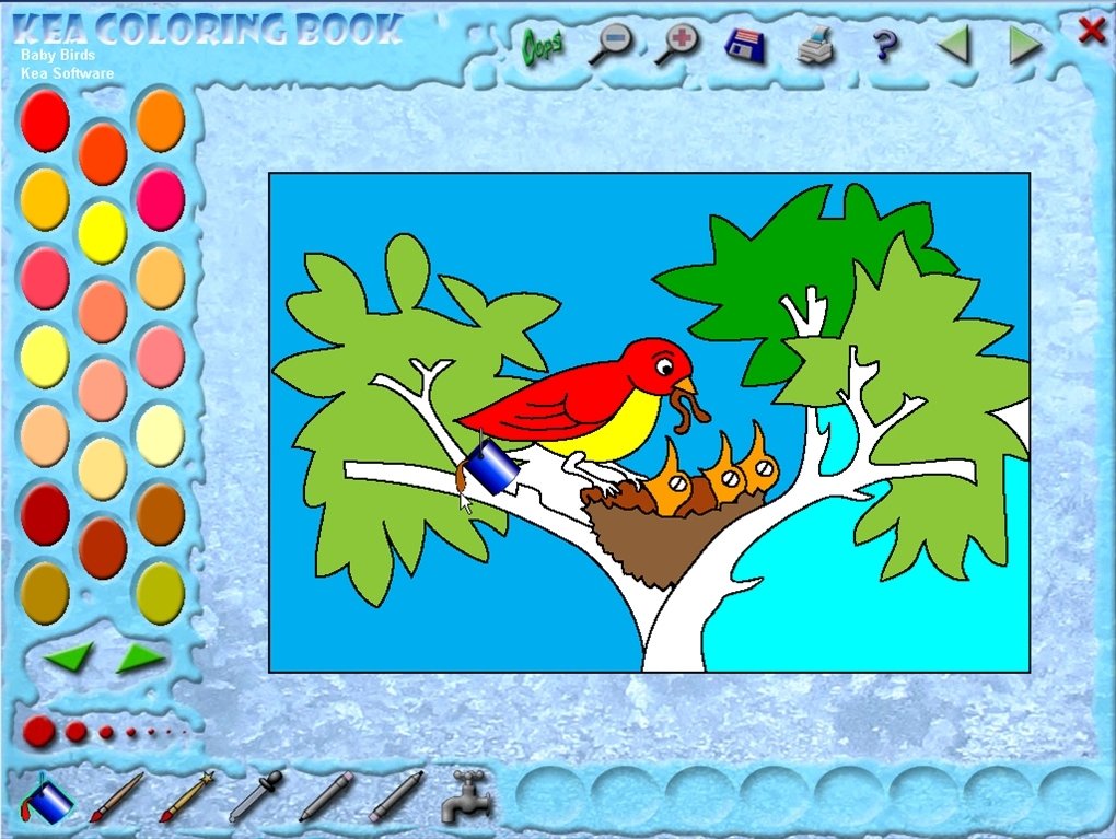 Kea Coloring Book