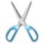NetCut