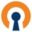 OpenVPN