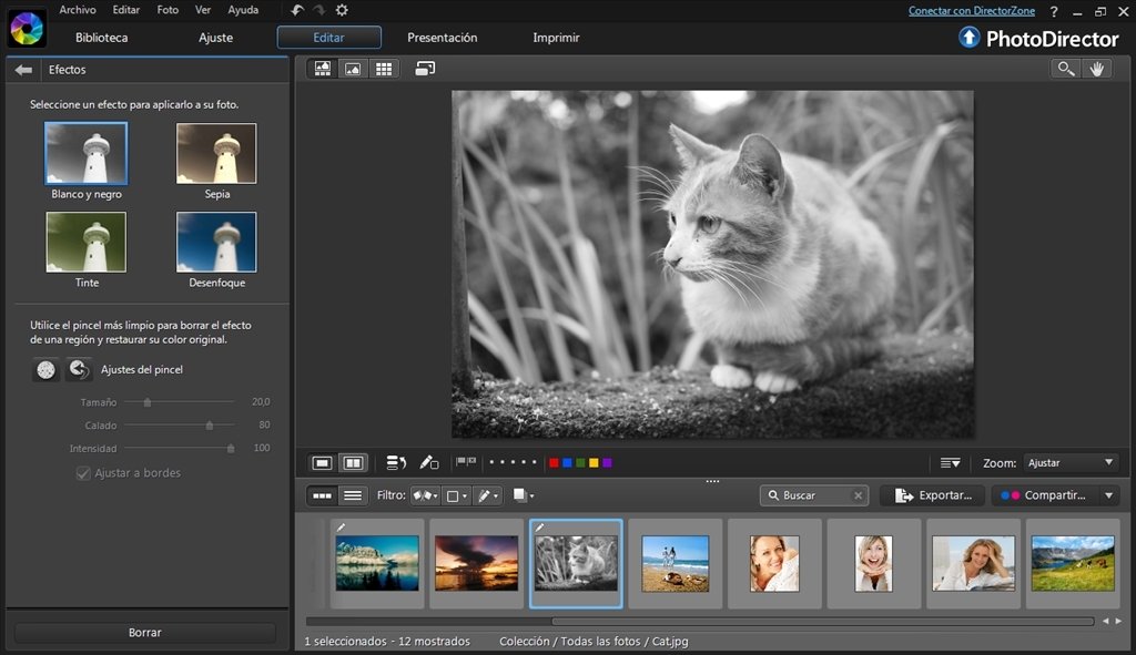 PhotoDirector