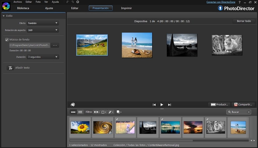 PhotoDirector