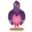 Pidgin Portable
