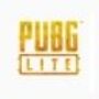 PUBG Lite