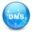 Simple DNS Plus