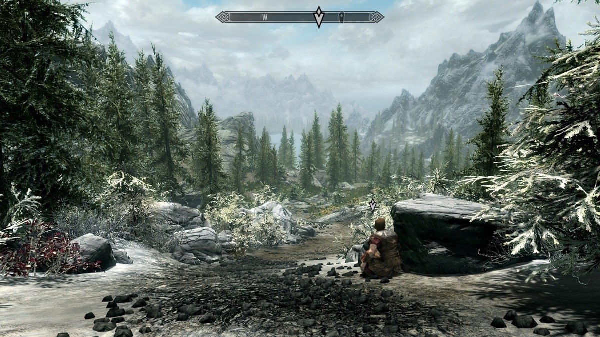The Elder Scrolls V: Skyrim