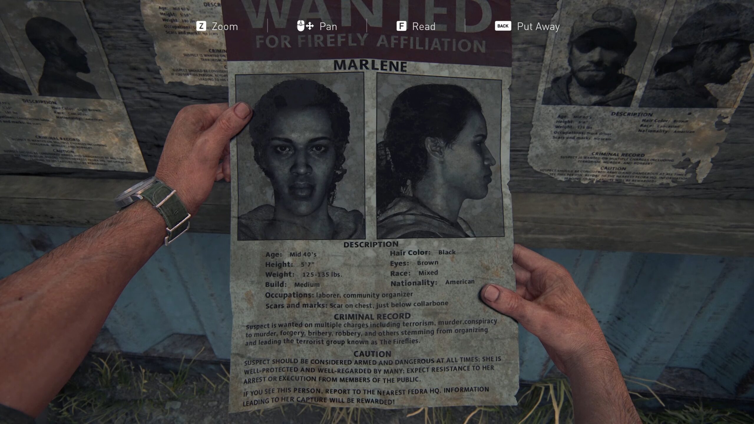 The Last of Us
