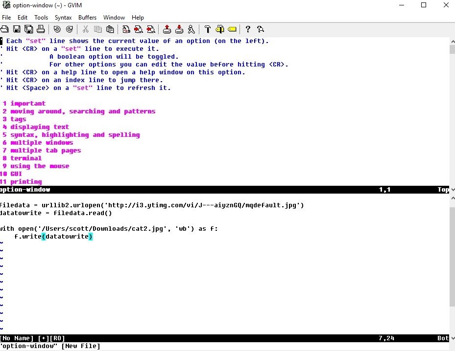 Vim