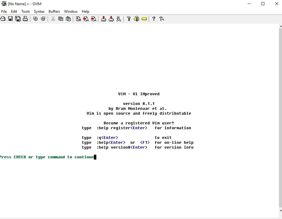 Vim