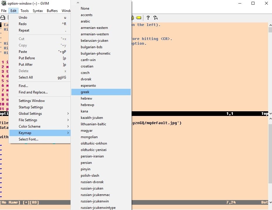 Vim