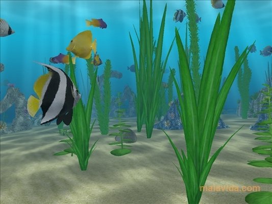 Water Life 3D Screensaver