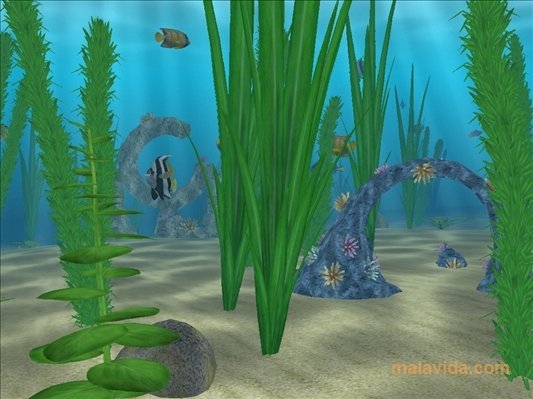Water Life 3D Screensaver