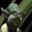 Yoda
